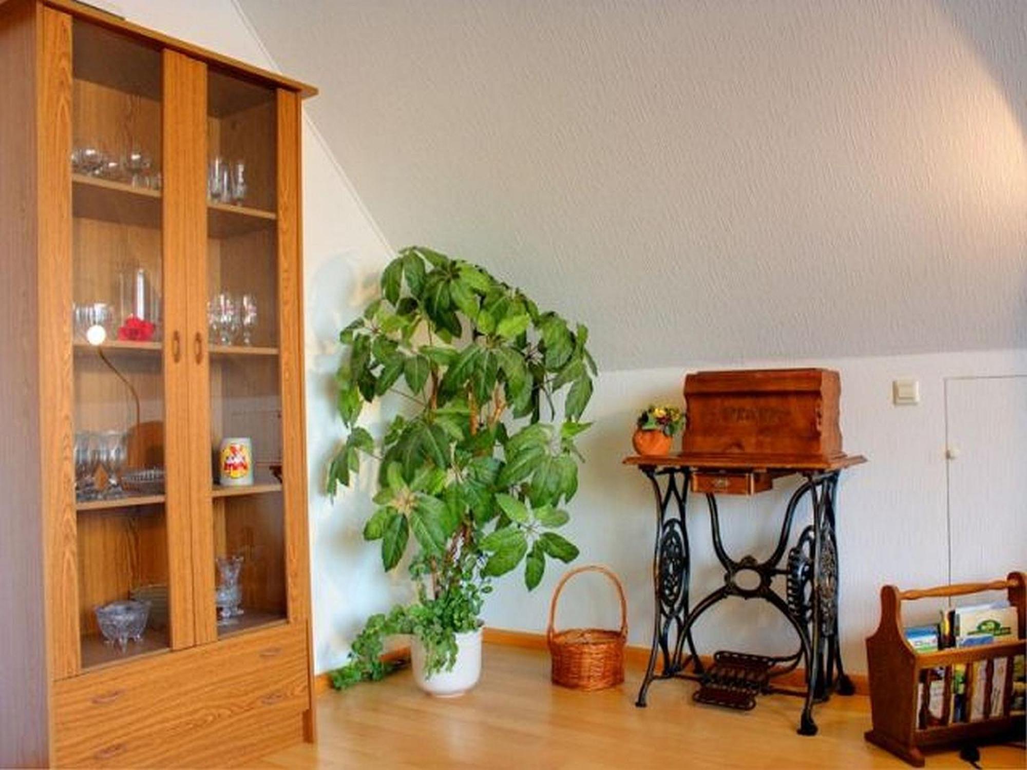 Apartmán Haus Wehrle Breisach Exteriér fotografie